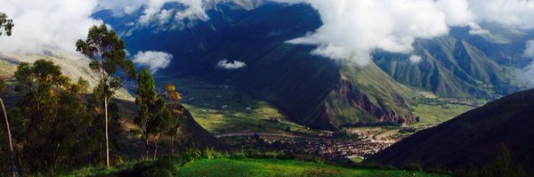 Linsea Profile Banner