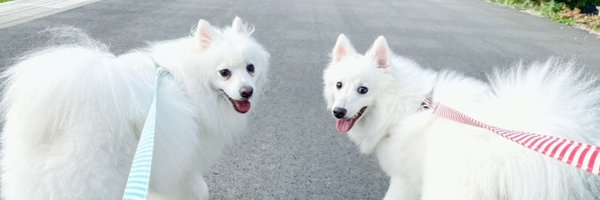 ishiduu Profile Banner