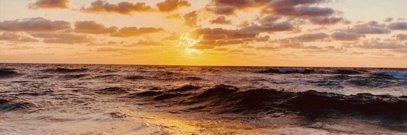 BrunoRegatuso's profile banner image