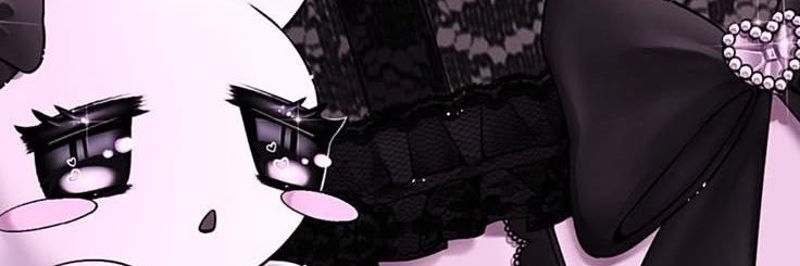 soulsborndoll's profile banner image