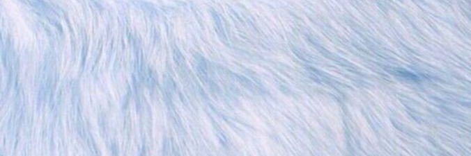 _Nicavaq's profile banner image