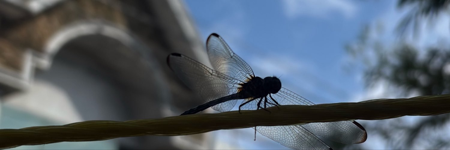 Nightwingxk's profile banner image