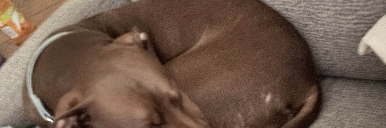 morganlong2468's profile banner image