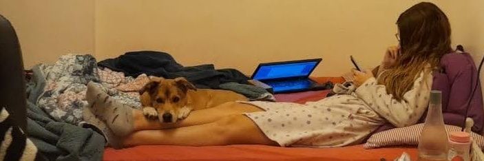 martucobo's profile banner image