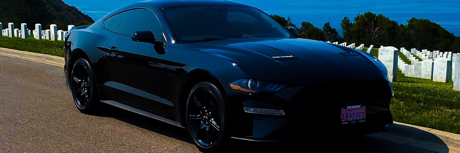 💙🫧🐾deb🐾🫧💙 banner