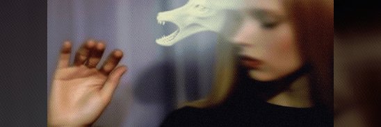 zenavor's profile banner image