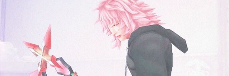 Petal_Reaper's profile banner image