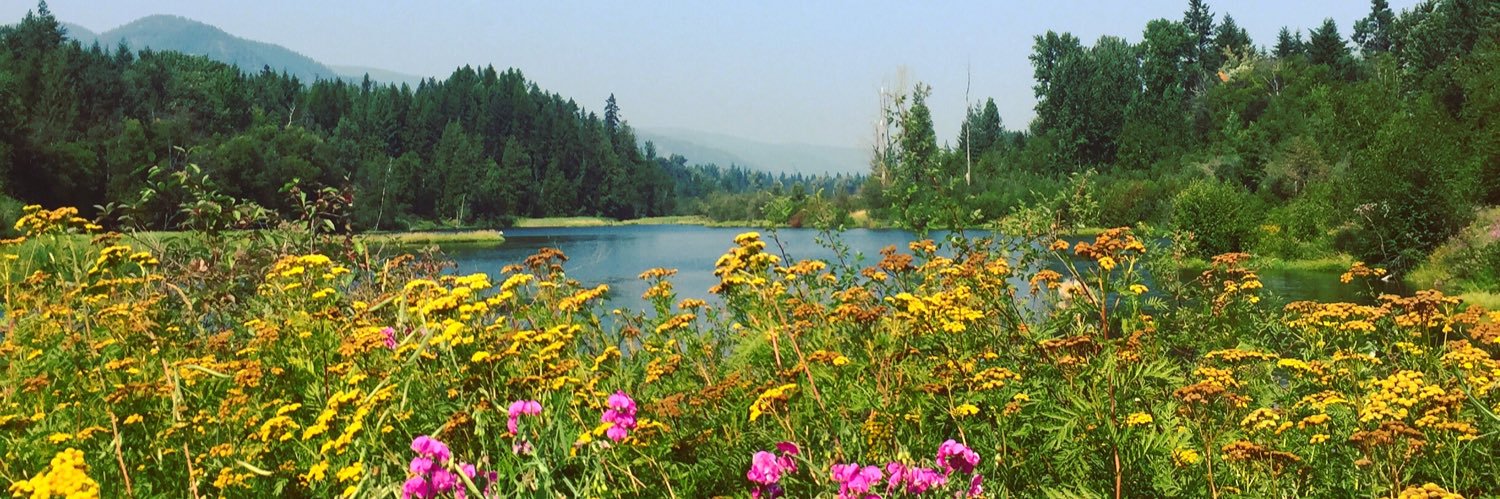 Heather Harder banner