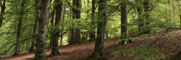 tgiff0rd10 Profile Banner