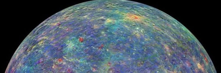 Tara Deliberto Ph.D. banner