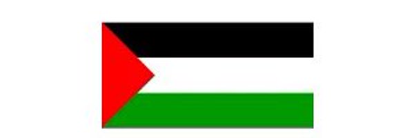 n4di4_m Profile Banner