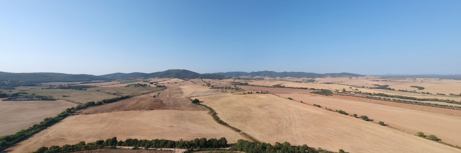 Domenico Franco banner