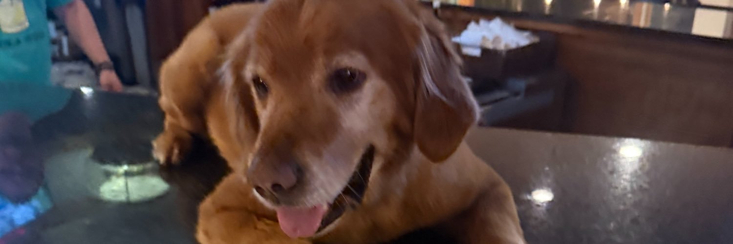 CGOLL10's profile banner image