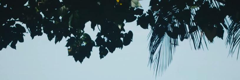 ghostfacemik's profile banner image
