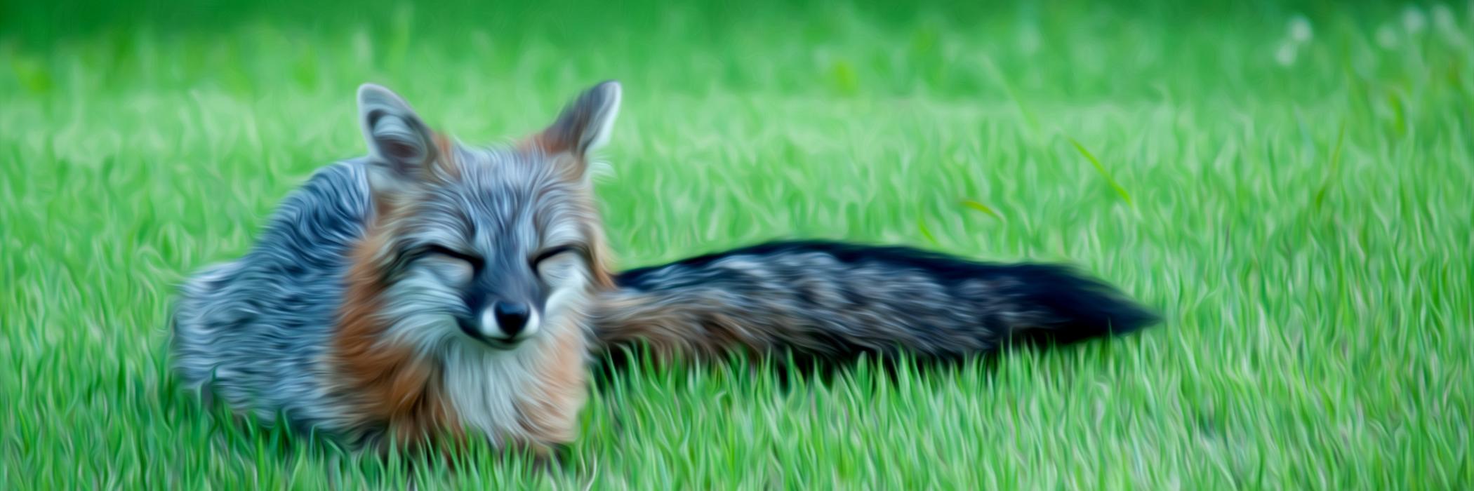 Jordan Schultz banner