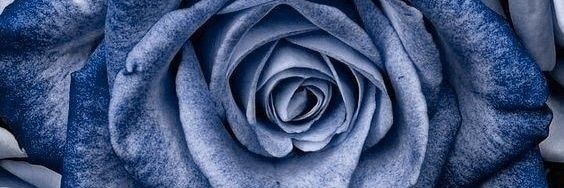 Ayi_DR's profile banner image