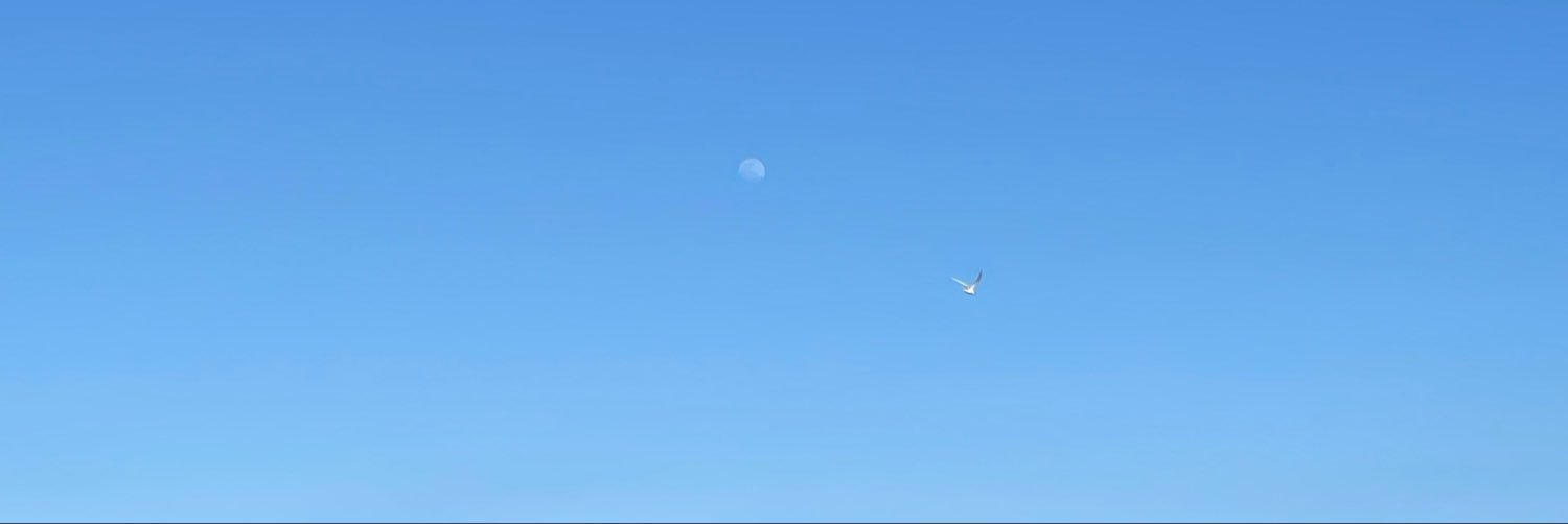 ExbcRec's profile banner image