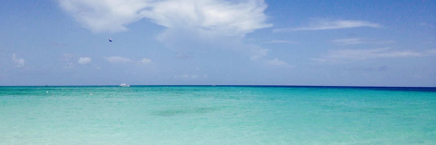 SimplyFrancie's profile banner image
