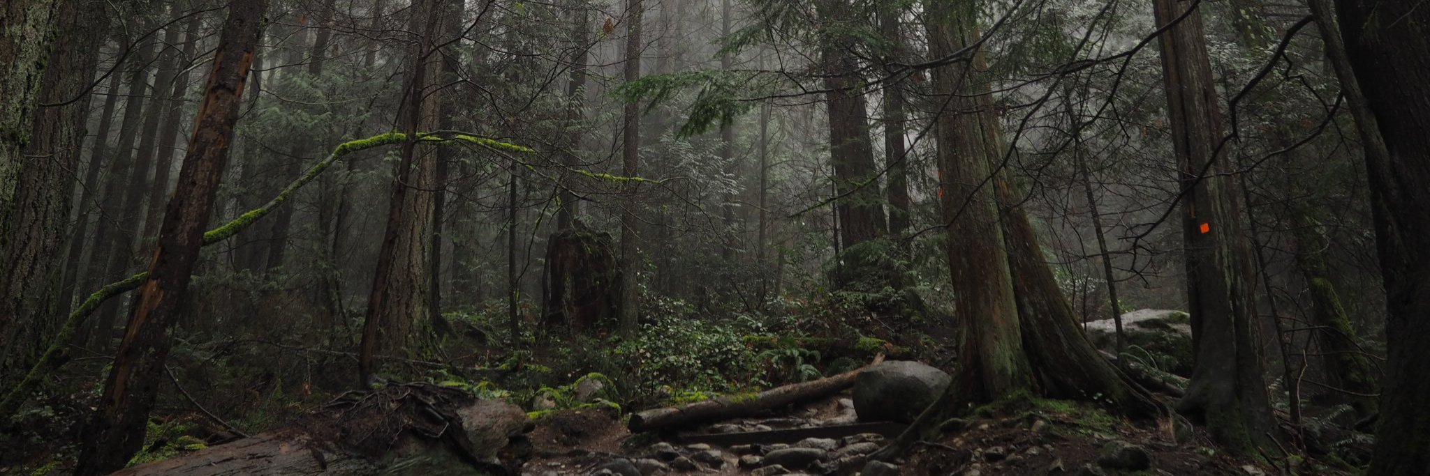 Gregory Bodkin banner