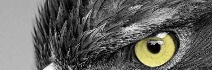 bjk_cemo's profile banner image