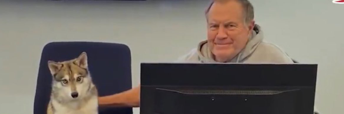 taytriots's profile banner image