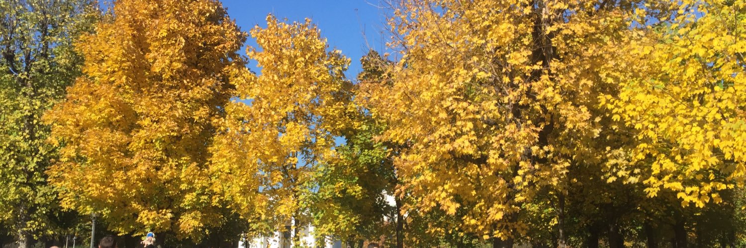 fjblavi's profile banner image