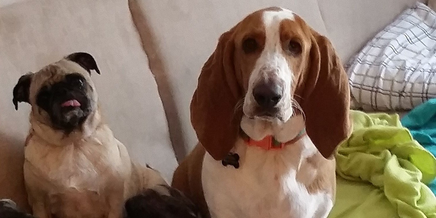 kellealm's profile banner image