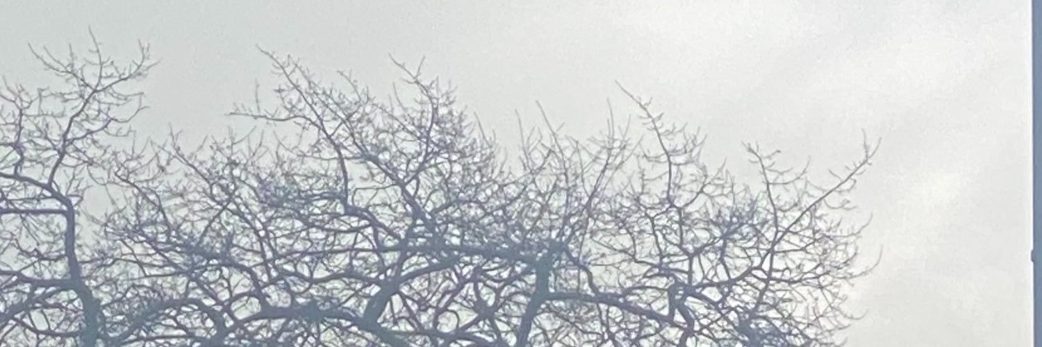 caitsdietdiary's profile banner image