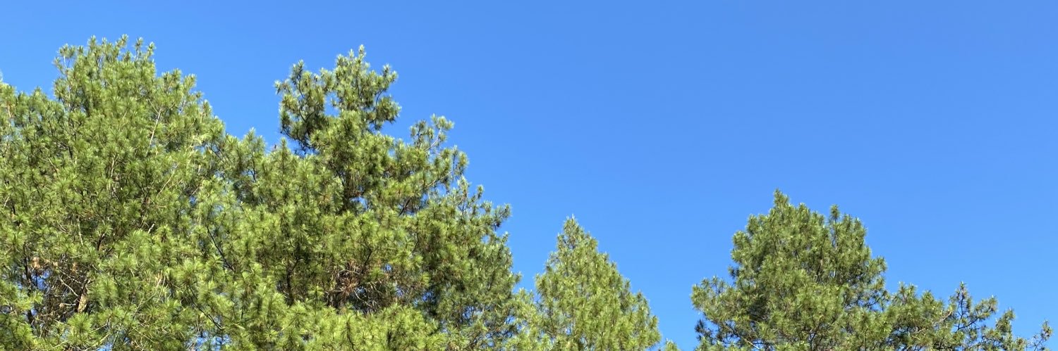 llhshllh's profile banner image