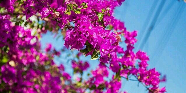 massi_nova's profile banner image