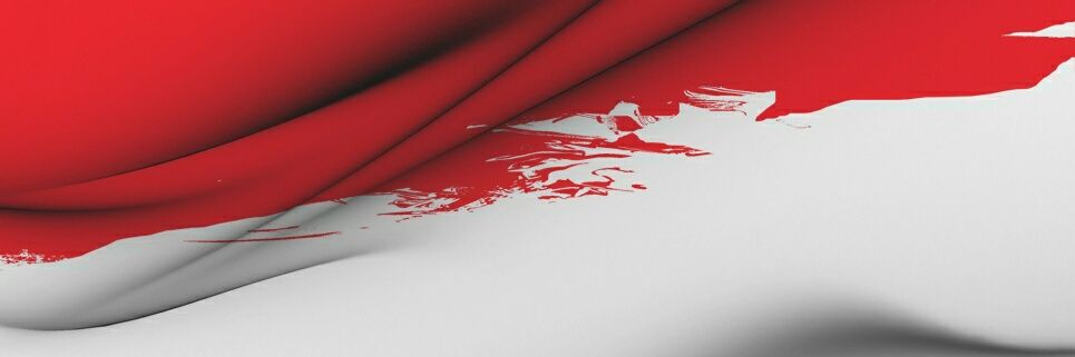 LIAR banner