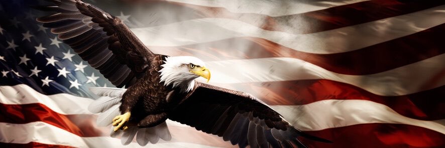 BigDomHater's profile banner image