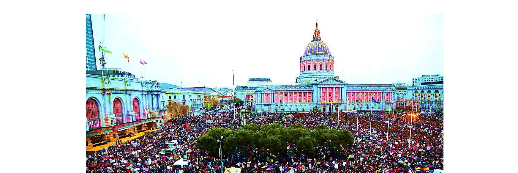 tamtaylor's profile banner image