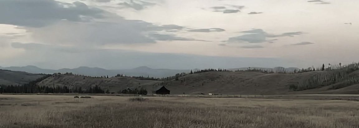 mechhaww's profile banner image