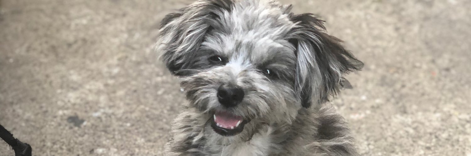 dooski's profile banner image