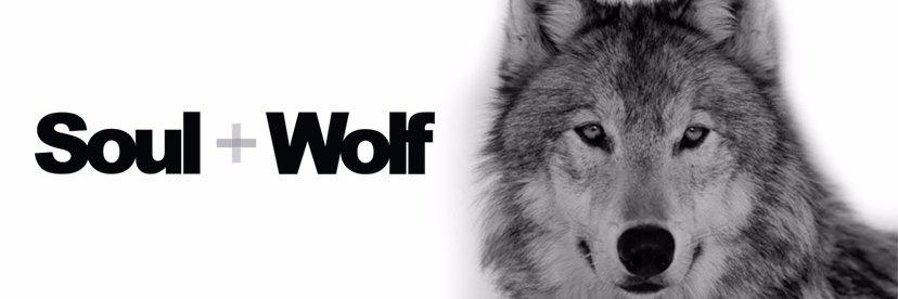 soulandwolf's profile banner image