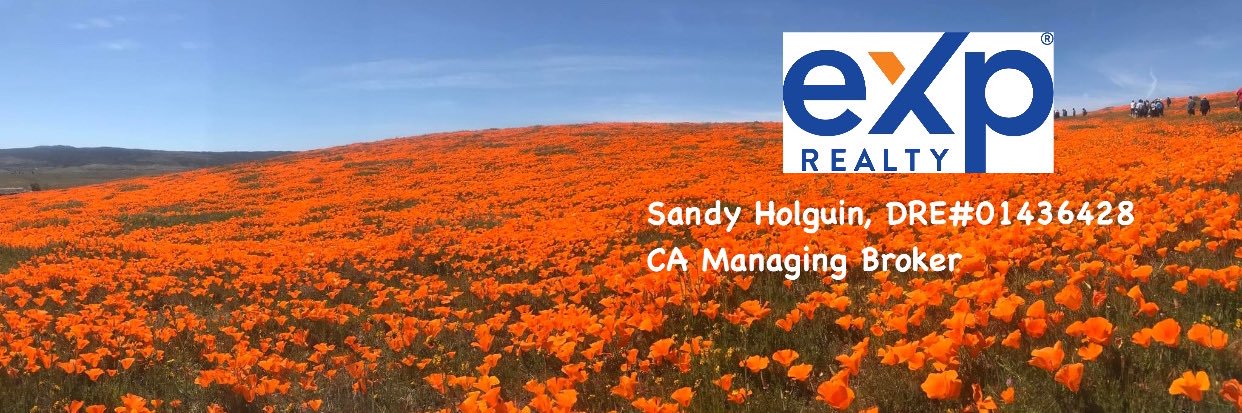 SandySellsHome's profile banner image