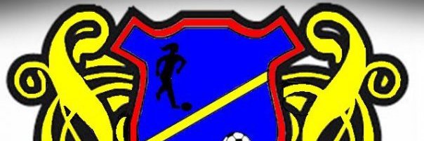 futsal017's profile banner image