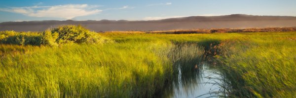 Brandon_Most Profile Banner
