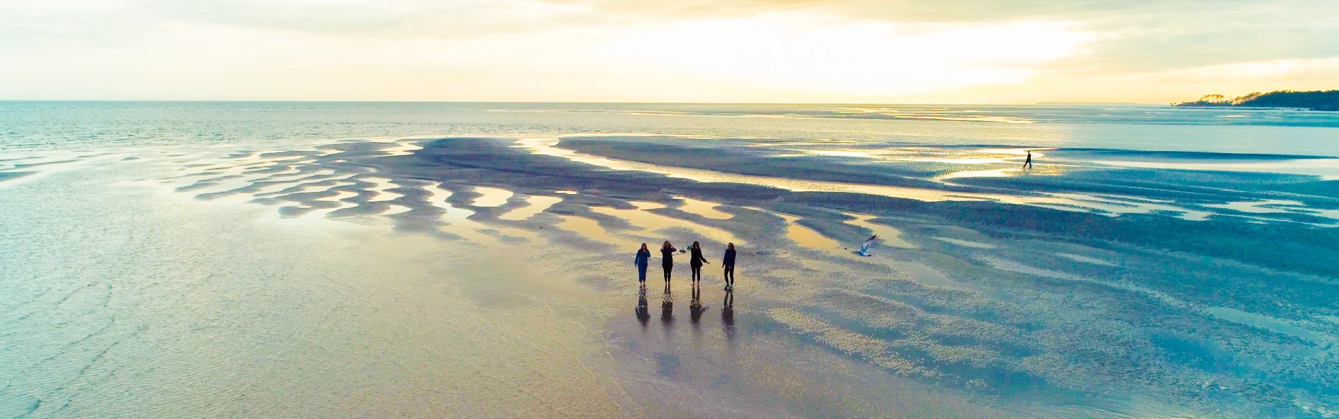 steadyfly's profile banner image