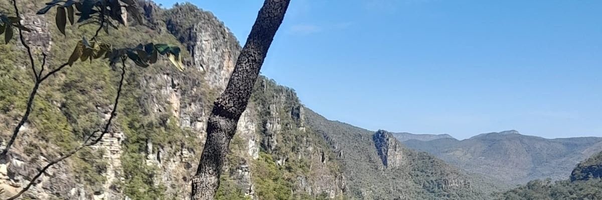 Petronio_Jr's profile banner image