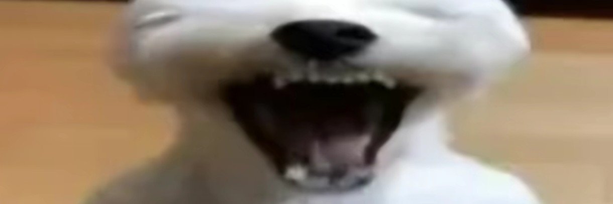 Getliosadekdde's profile banner image