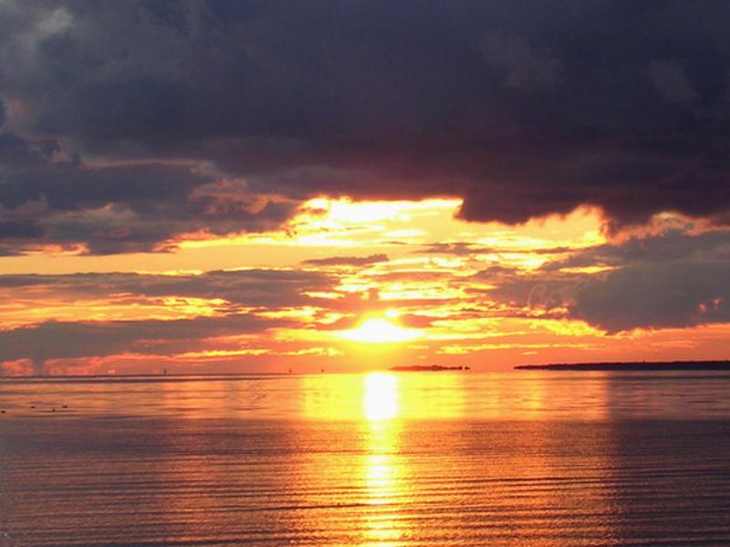 ArkadiyOffTop's profile banner image