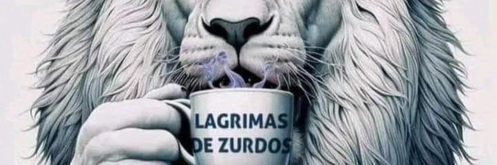 Aldopacello's profile banner image