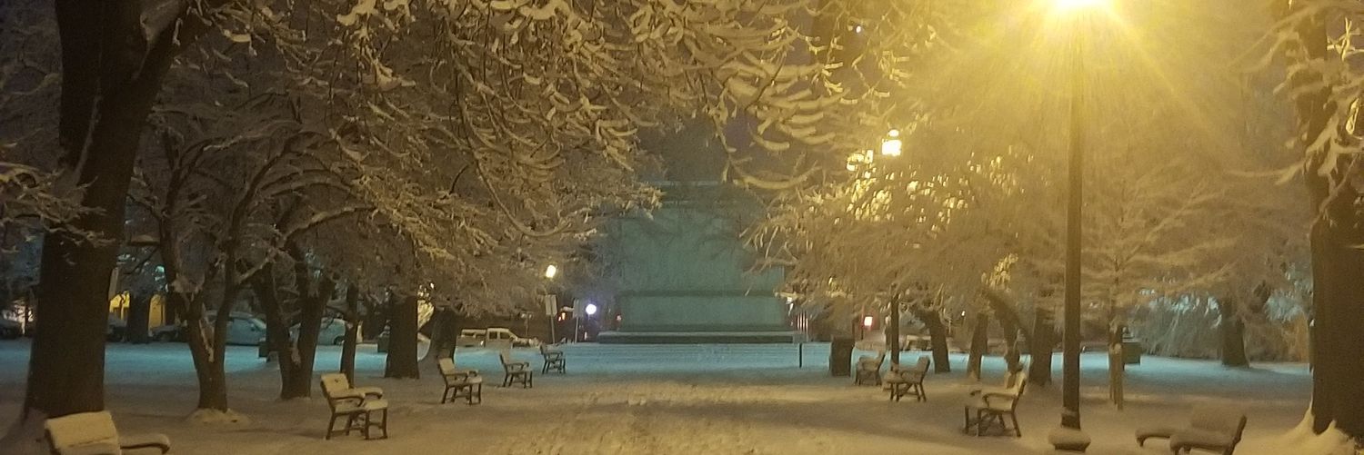 Alexis Cameron banner