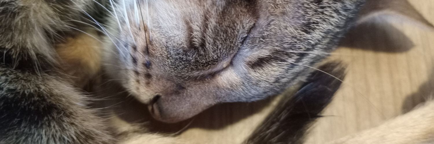 Bordojilo's profile banner image