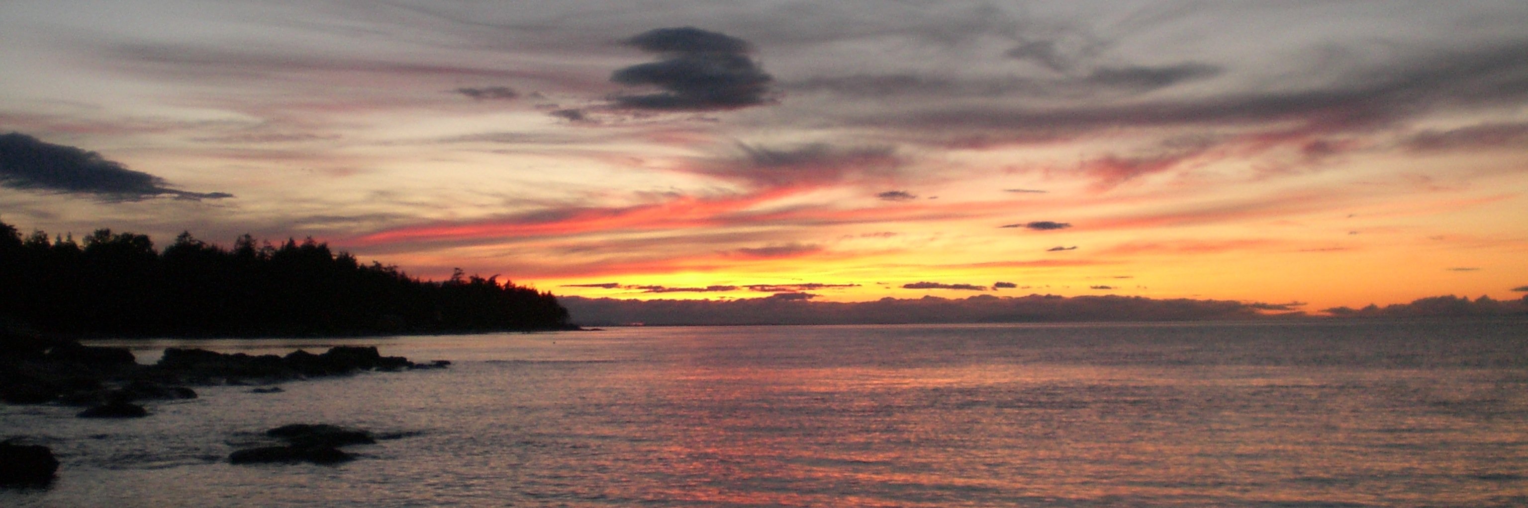 Christers MacDongle banner