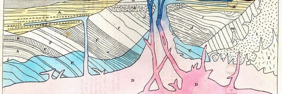 shapirosteph's profile banner image