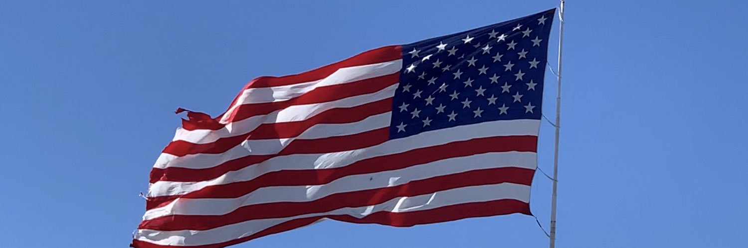 V banner