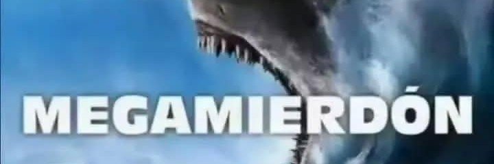 Z1anslll's profile banner image